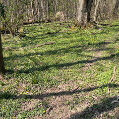 7B2CC1BD-2B4B-4572-8063-5F6B3C62F939-22244-000004EE361B8A0C